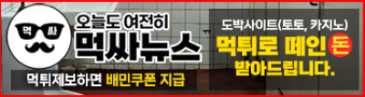 먹싸뉴스